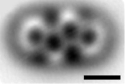 A molecule modified using a specialized microscope built by IBM.