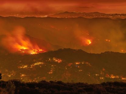The area burned in the summers of 2020 and 2021 set historic records in California. In the image, the one that almost wiped out the residential neighborhood of Pacific Palisades, near Los Angeles.