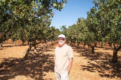 José Francisco Couceiro with the first pistachio trees he planted in 1987 on an experimental farm in Spain.