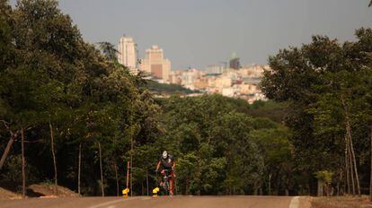 A cyclist rides through Casa de Campo, with Madrid in the background.