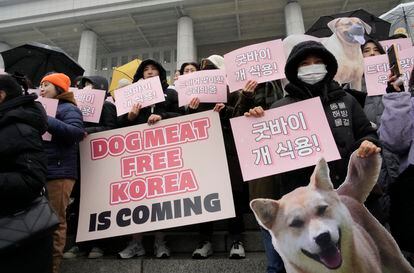 Activistas por los derechos de los animales asisten a una manifestación contra el consumo de carne de perro en Corea del Sur.
