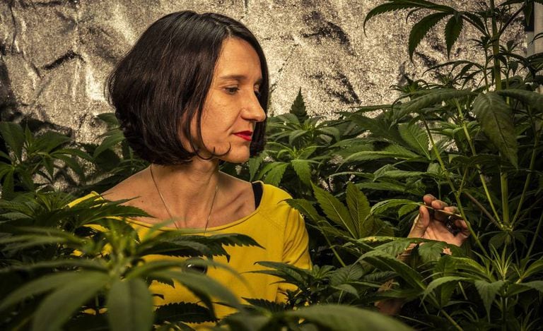 Carola Pérez, president of the Spanish Medicinal Cannabis Observatory cultivating at home.