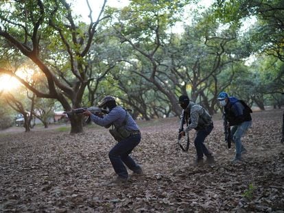 A group of vigilantes during a confrontation in an avocado orchard in Michoacan.