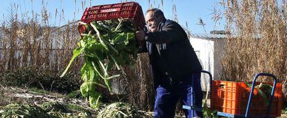 Farmer Francisco Gonz&aacute;lez throws out vegetables he cannot sell in Villa del Prado, Madrid.