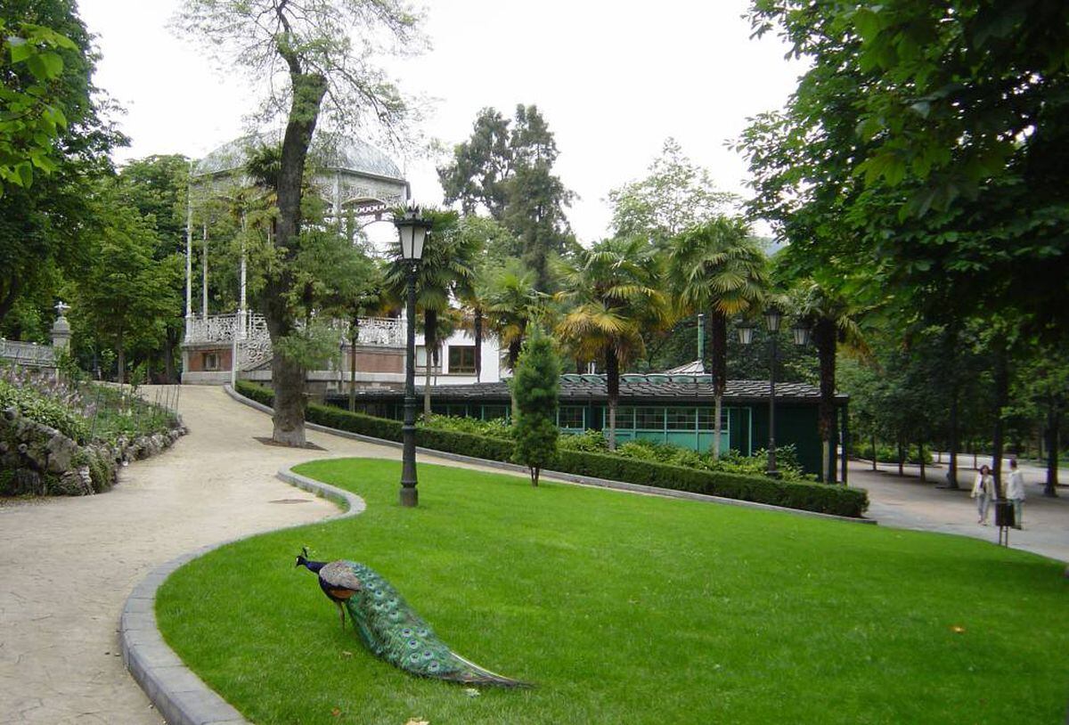 Evictions in Spain: Elderly Spanish couple end up sleeping in park ...