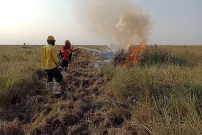 Workers from the Armonía organization carry out a controlled burn on one of their farms in the Barba Azul Reserve.