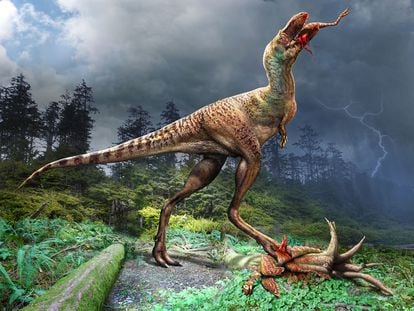 Artistic representation of a gorgosaurus devouring prey.