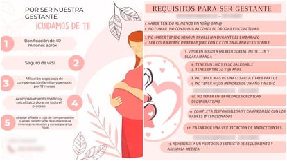 Informative brochure of a surrogate agency in Colombia.