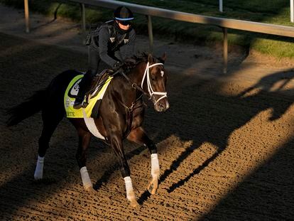 Kentucky Derby hopeful Forte works out at Churchill Downs Wednesday, May 3, 2023, in Louisville, Ky. The 149th running of the Kentucky Derby is scheduled for Saturday, May 6. (AP Photo/Charlie Riedel)
