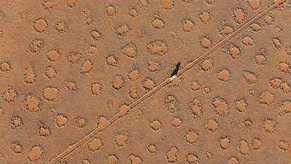 Fairy circles had only been described in Namibia, like this one photographed from a hot air balloon, and in Australia, but they exist in 13 other countries.