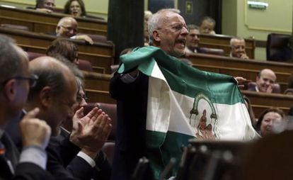 El diputado socialista Manuel Pezzi muestra una bandera andaluza durante la intervención de Rajoy.