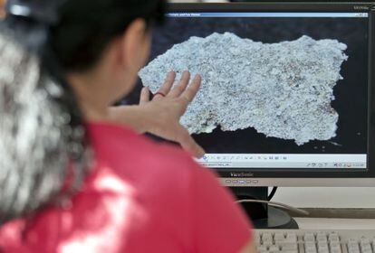 A forensic expert examines evidence at Bucharest&#039;s National History Museum. 