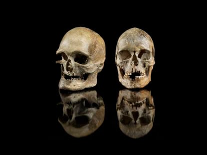 The skulls of two people who lived 14,000 years ago were found buried in Oberkassel (Germany).