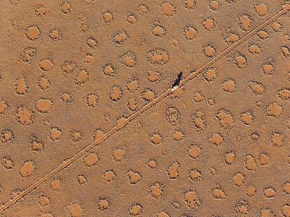 Fairy circles had only been described in Namibia, like this one photographed from a hot air balloon, and in Australia, but they exist in 13 other countries.