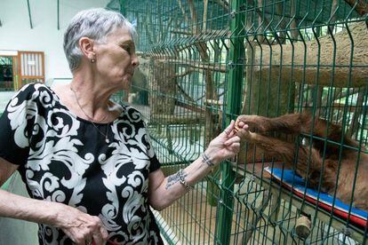 Judy Avey-Arroyo, owner of the Costa Rica Sloth Sanctuary in Limón province, oversees the recovery of a sloth on March 10, 2023.