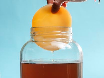 If we refer to the base recipe, kombucha should only contain four ingredients: tea, sugar, water and a symbiotic colony, known as a scoby (Symbiotic Culture of Bacteria and Yeast).