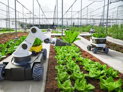 Agriculture robotic and autonomous car working in smart farm.