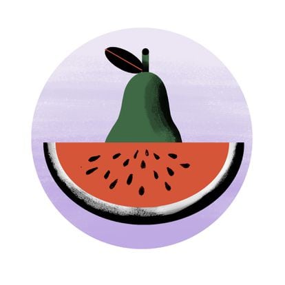 Illustration of a watermelon