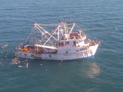 A fishing boat operating inside the exclusion zone in the Gulf of California in 2016.
