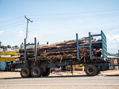 A truck transports logs on a road in Elburgon, near Nakuru.
