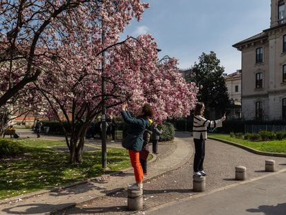 Two girls use their phones to take a photo of the flowering trees in Piazza Tommaseo on March 14, 2024 in Milan, Italy.