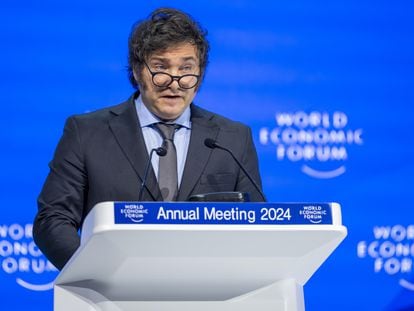 Argentine President Javier Milei during his speech at the Davos Economic Forum on Wednesday, January 17.