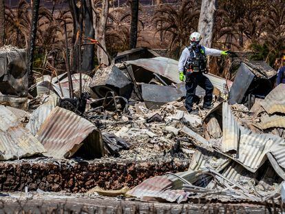 Combined Joint Task Force 50 (CJTF-50) search, rescue and recovery personnel conduct search operations of areas damaged by Maui wildfires in Lahaina, Hawaii, on Aug. 15, 2023.