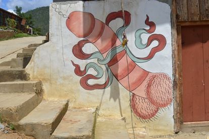 Many homes in the country have their doors flanked with drawings of penises in full ejaculation. The Bhutanese claim that they scare away evil spirits and attract fertility.