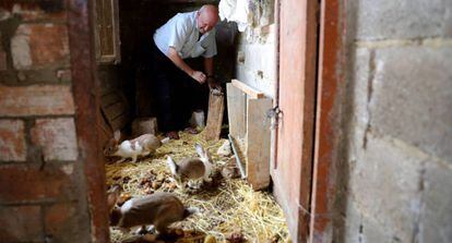 Pedro García, aged 74, checks on his rabbits after returning home to Moropeche.
