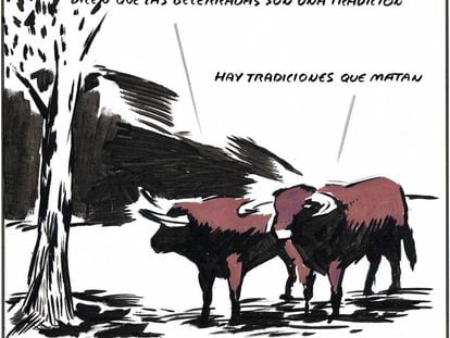– They say that bullfights with calves are a tradition. – There are traditions that kill...