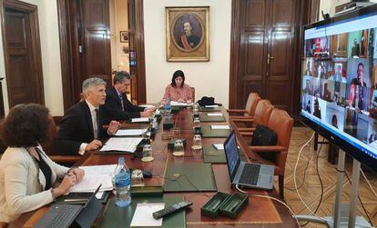 Interior Minister Fernando Grande-Marlaska (l) holds a video conference meeting on Monday.