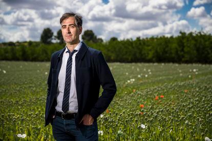 The chemist Carlos García Caballero, from the National Institute of Toxicology and Forensic Sciences, in a legal opium poppy field in Malpica de Tajo (Toledo).