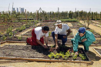 Agricultural expert Pablo Prieto (center) with two employees of the Carmen Pardo-Valcarce Foundation at the community garden.