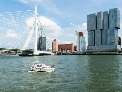 The Spido ferry passes by Rotterdam’s Erasmus bridge.