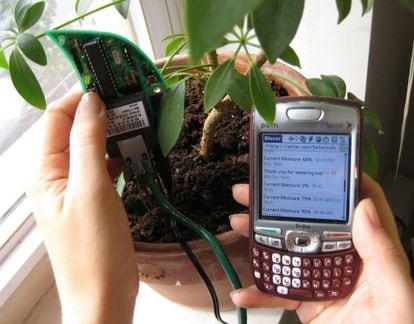 A plant that can send tweets when it needs watering, through the Botanicalls system. 
