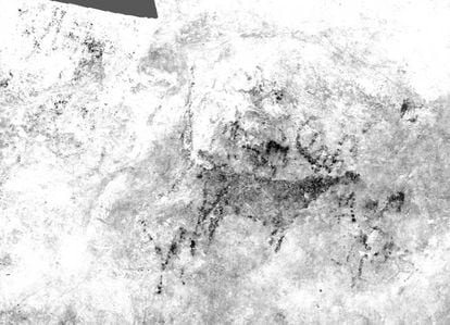 An image of a deer created through photometric techniques from the El Rejo cave in Cantabria.