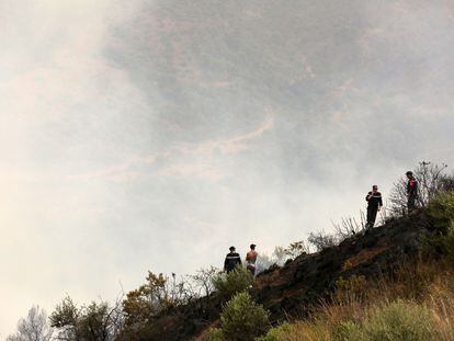 Firefighters after they put out the fire in the village of Zberber, Bouira province in the mountainous Kabyle region, Algeria, 24 July 2023.