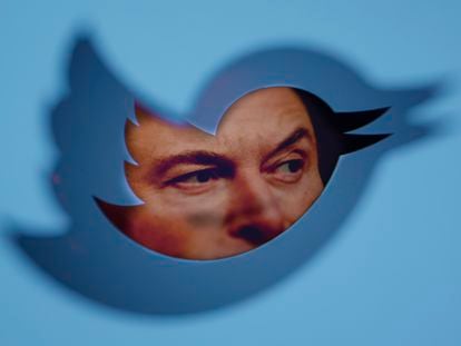 The owner of Twitter, Elon Musk, peeks through the logo of the social network.