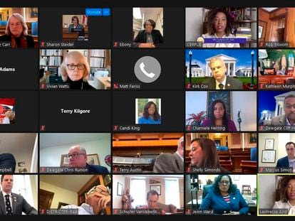 Screenshot of a Zoom meeting between lawmakers in Virginia.