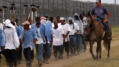 In this Aug. 18, 2011 photo, a prison guard rides a horse alongside prisoners as they return from farm work detail at the Louisiana State Penitentiary in Angola, La.