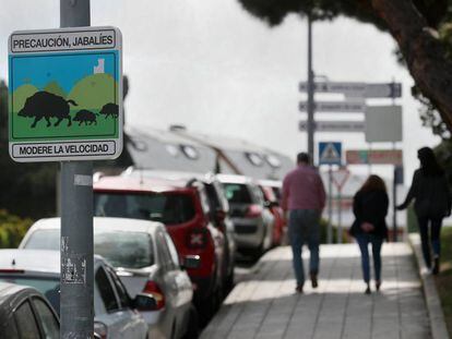 A sign warning of the presence of wild boar in the Madrid suburb of Torrelodones.