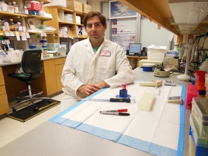 Spanish biologist Rubén García at the Joslin Diabetes Center.