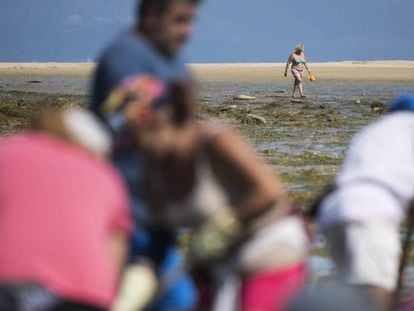 A bather and shellfish-catchers on the beach of Vilanova de Arousa (Pontevedra).