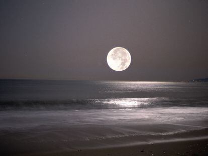 It is estimated that the Moon may contain 10 billion times less water than our planet holds in the oceans alone.