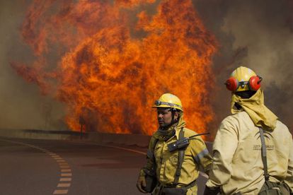Firefighters on Friday struggle to control a blaze near Coín in Málaga province.