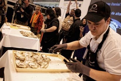 Nabil Rezzouki, who runs an oyster stall in Madrid, gets to work shucking a tray of oysters. 