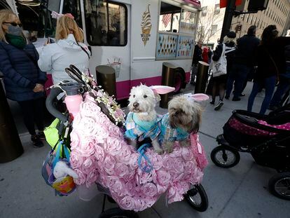 Two dogs dressed up during the Easter parade in New York, on April 17, 2022.