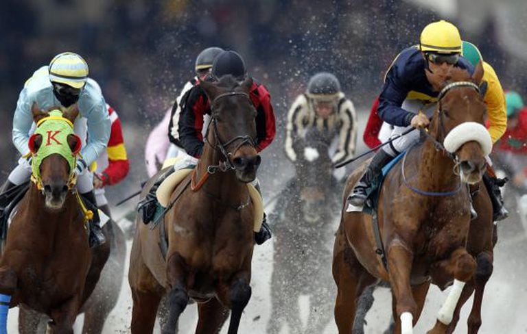 A race gets underway at Madrid's Zarzuela.