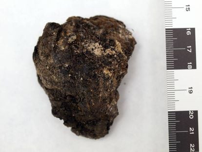 A preserved heart found at La Pedraja in Burgos.