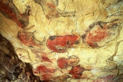 A 1985 image of the 14,000-year-old bison painting in Altamira’s polychrome chamber.